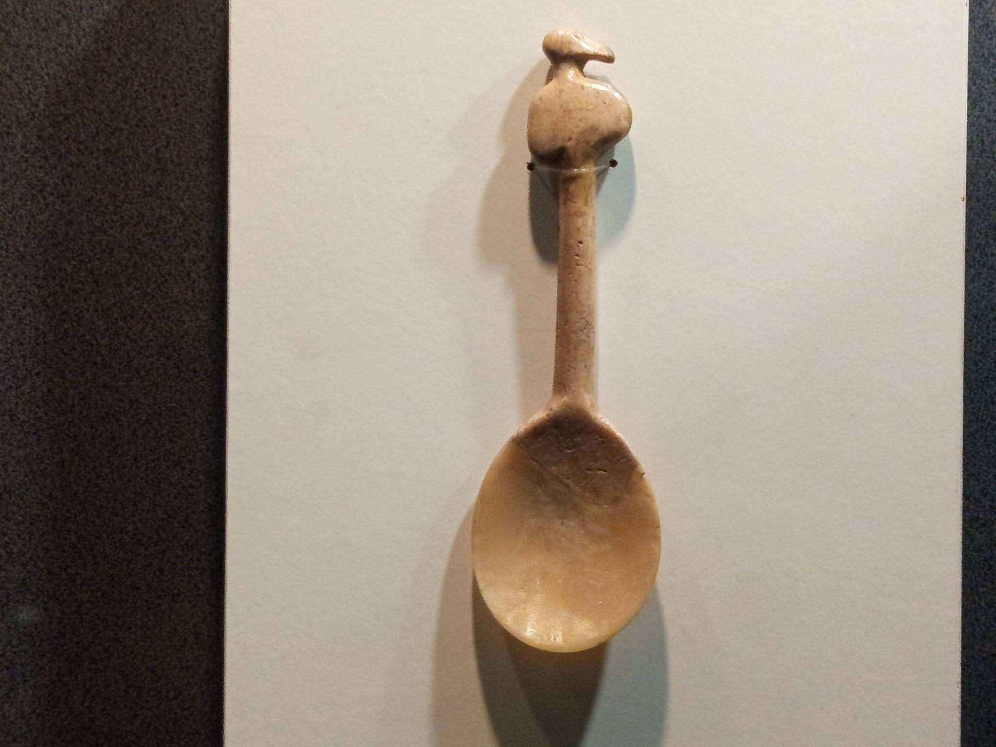 Gallery image 6