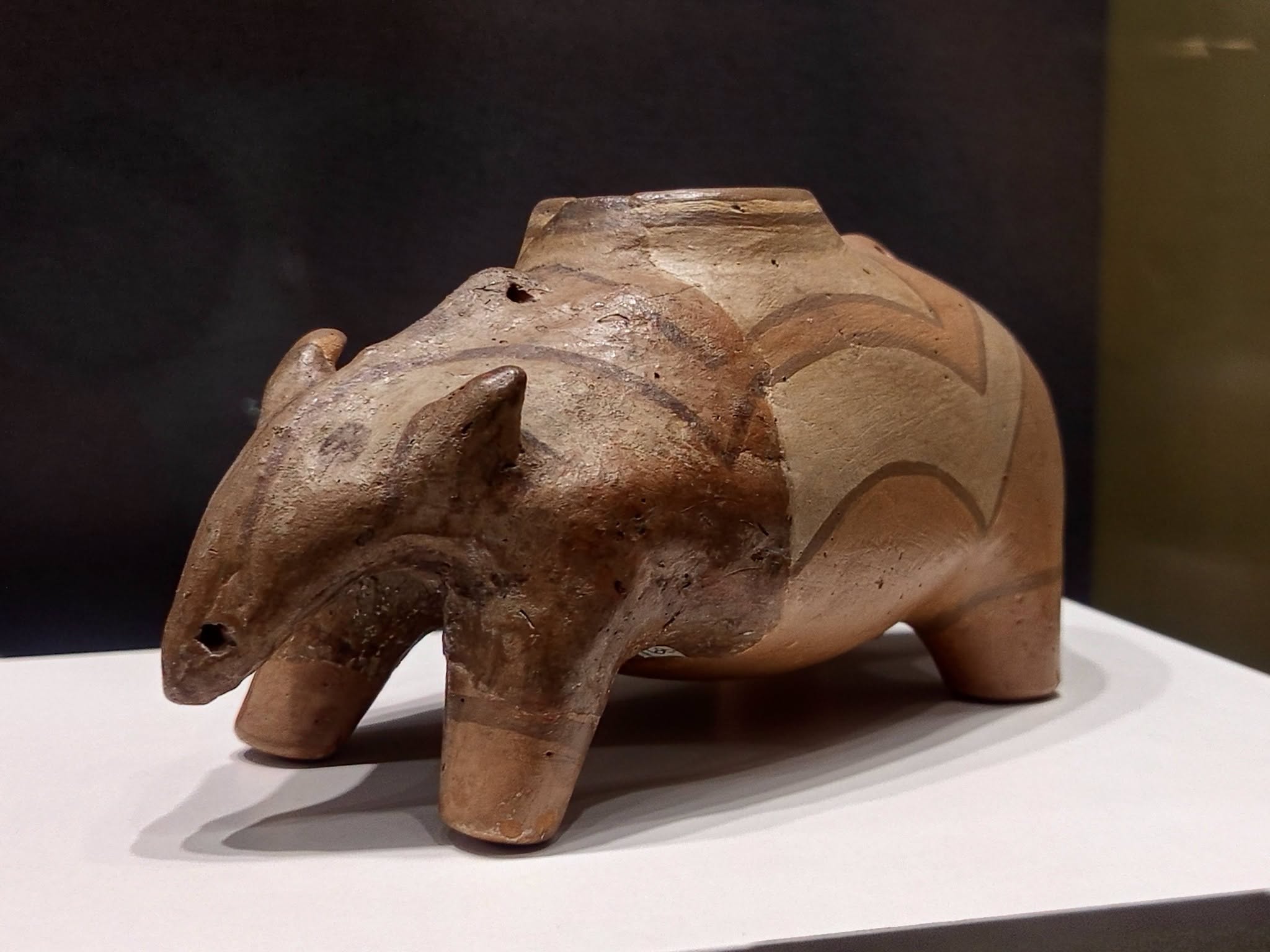 Gallery image 16