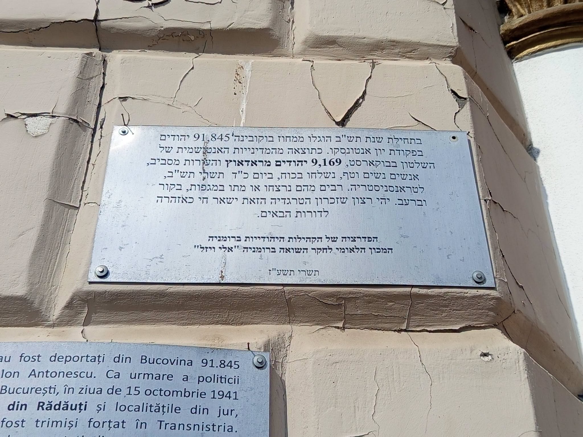 Gallery image 14