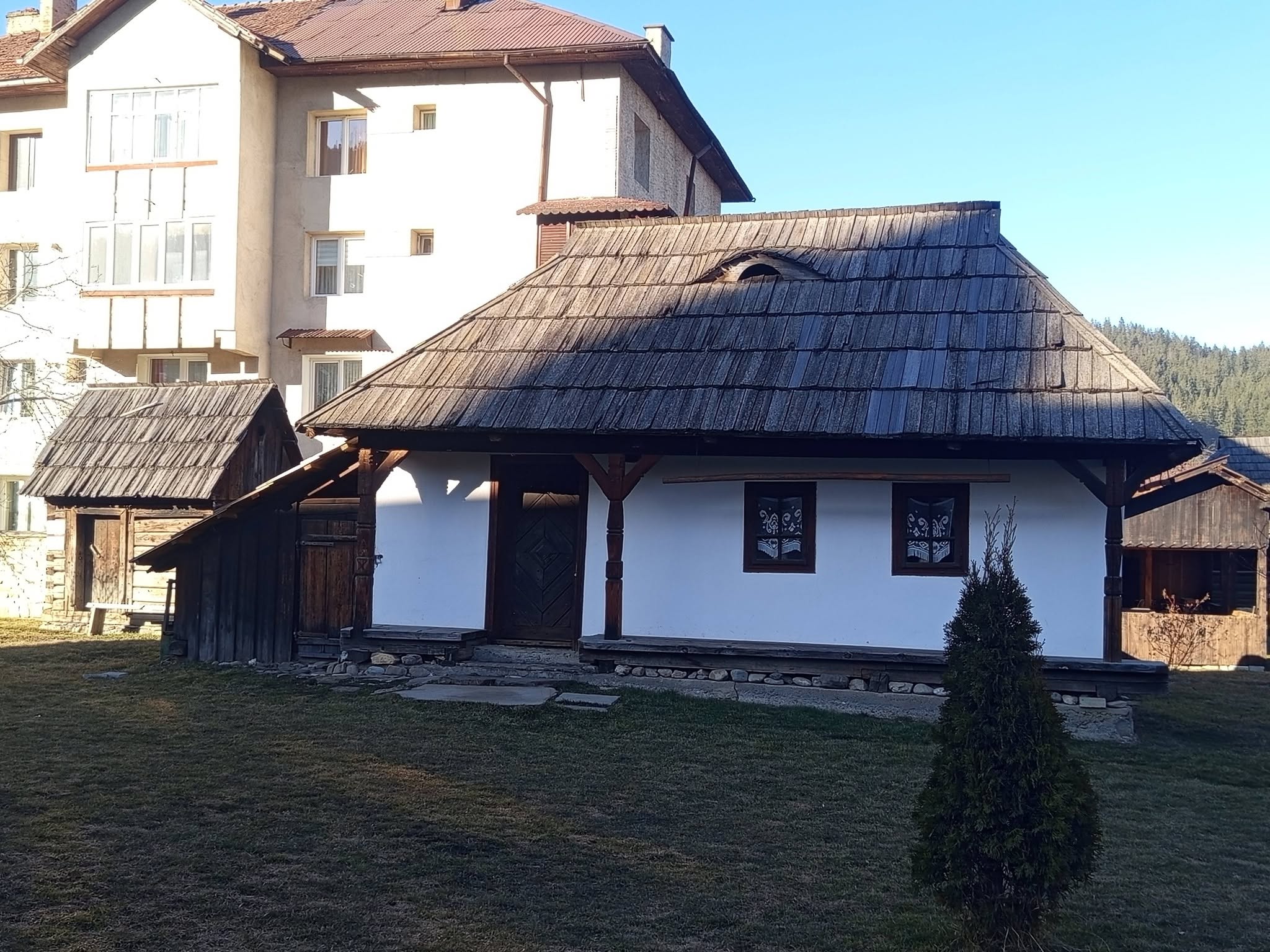 Gallery image 5