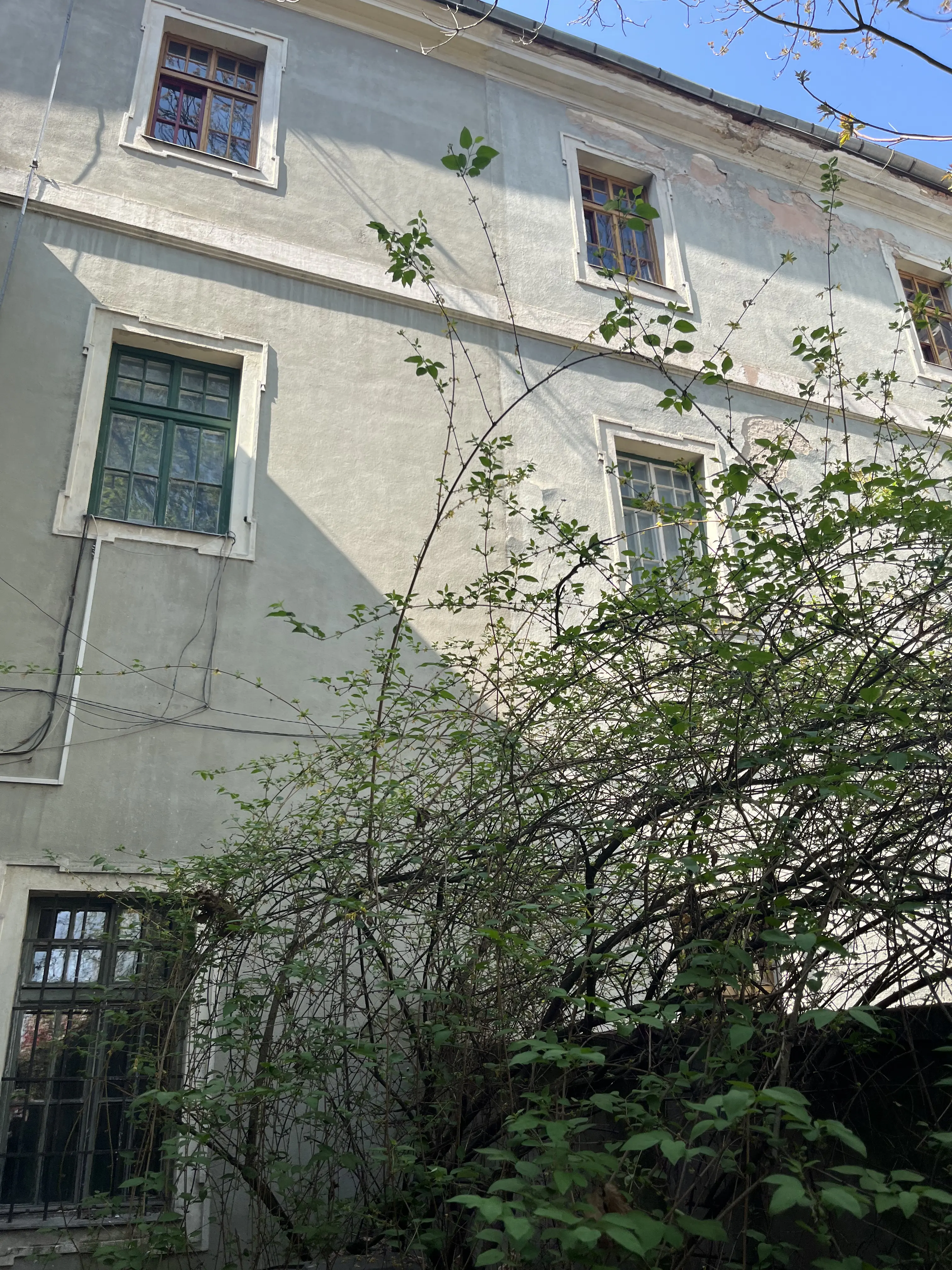 Gallery image 4