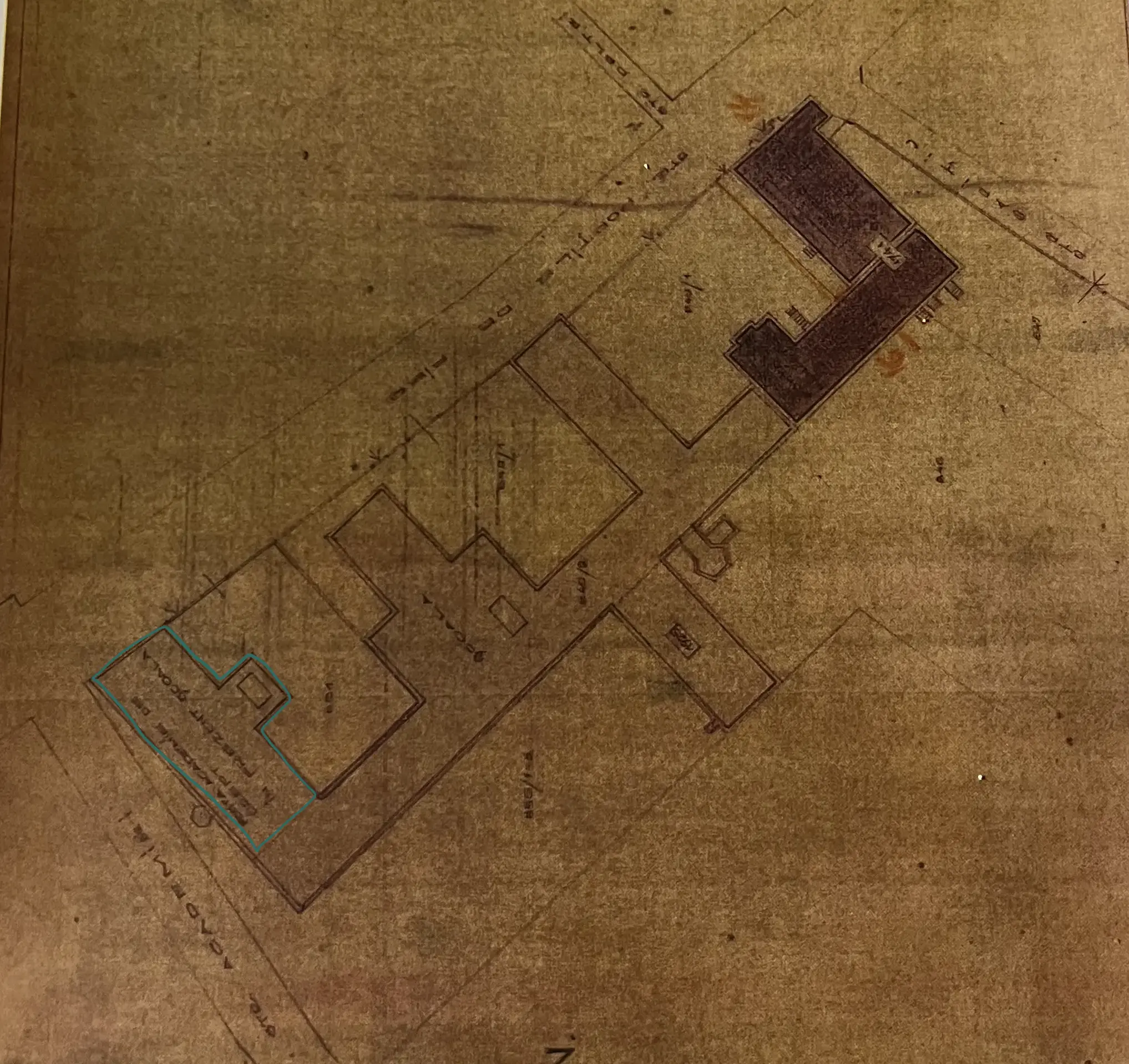Selected image