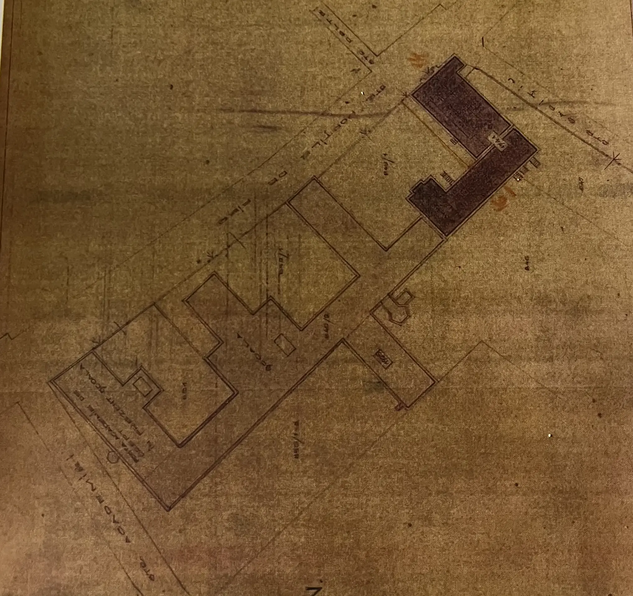 Selected image