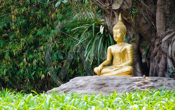 Gaál Péter: Buddha menjen a picsába
