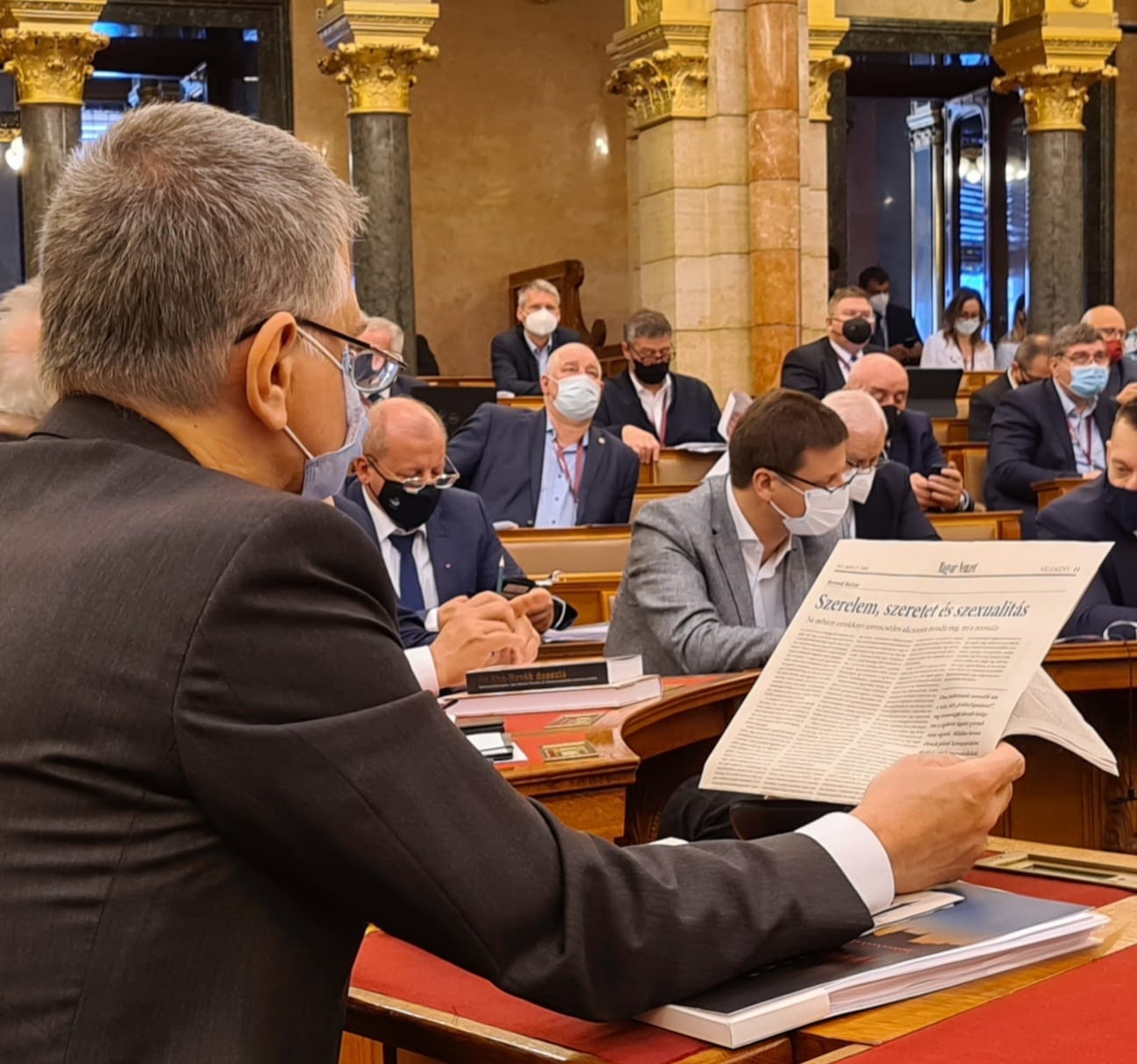 Szele Tamás: Kövér László pornója