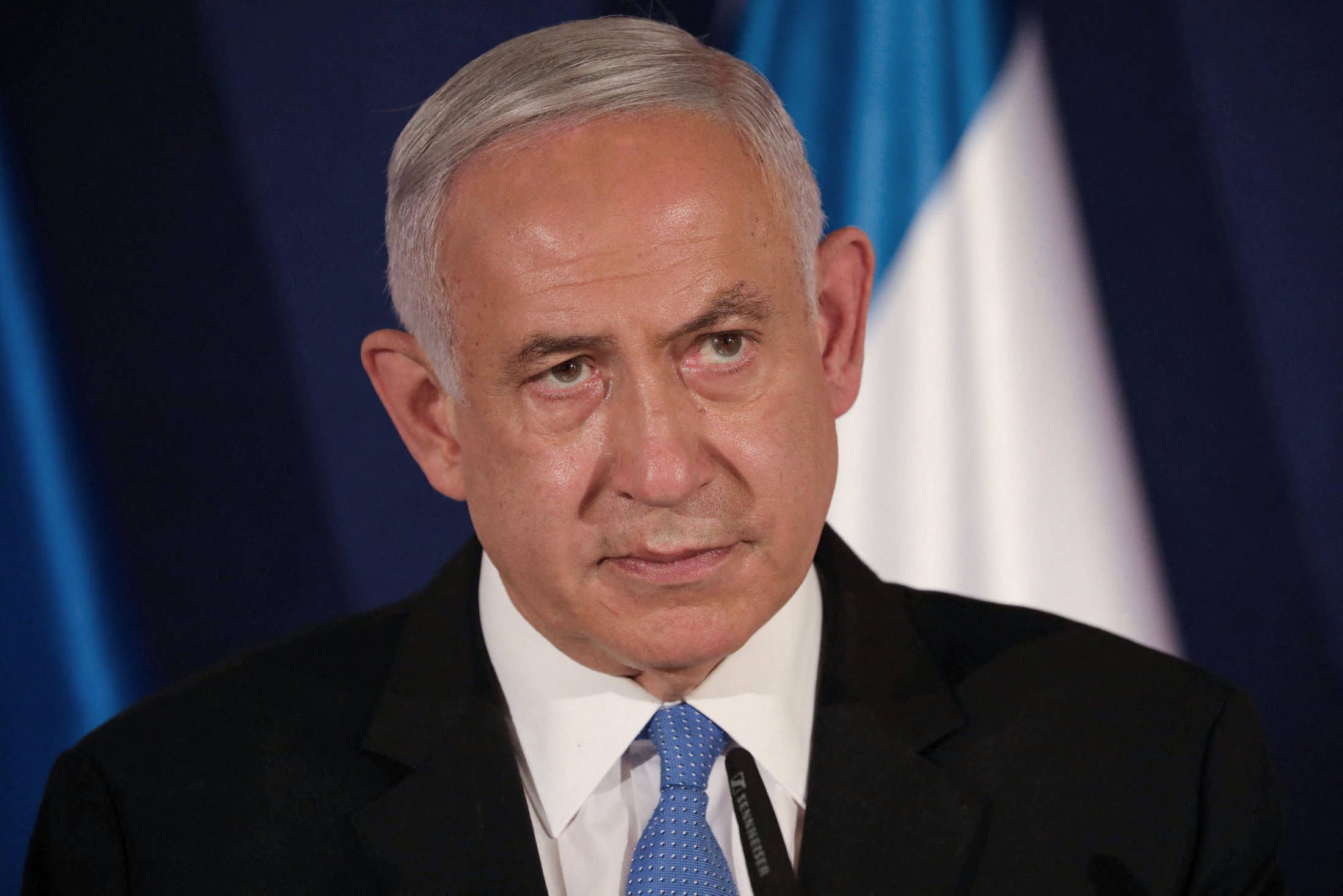 Gaál Péter: Bibi