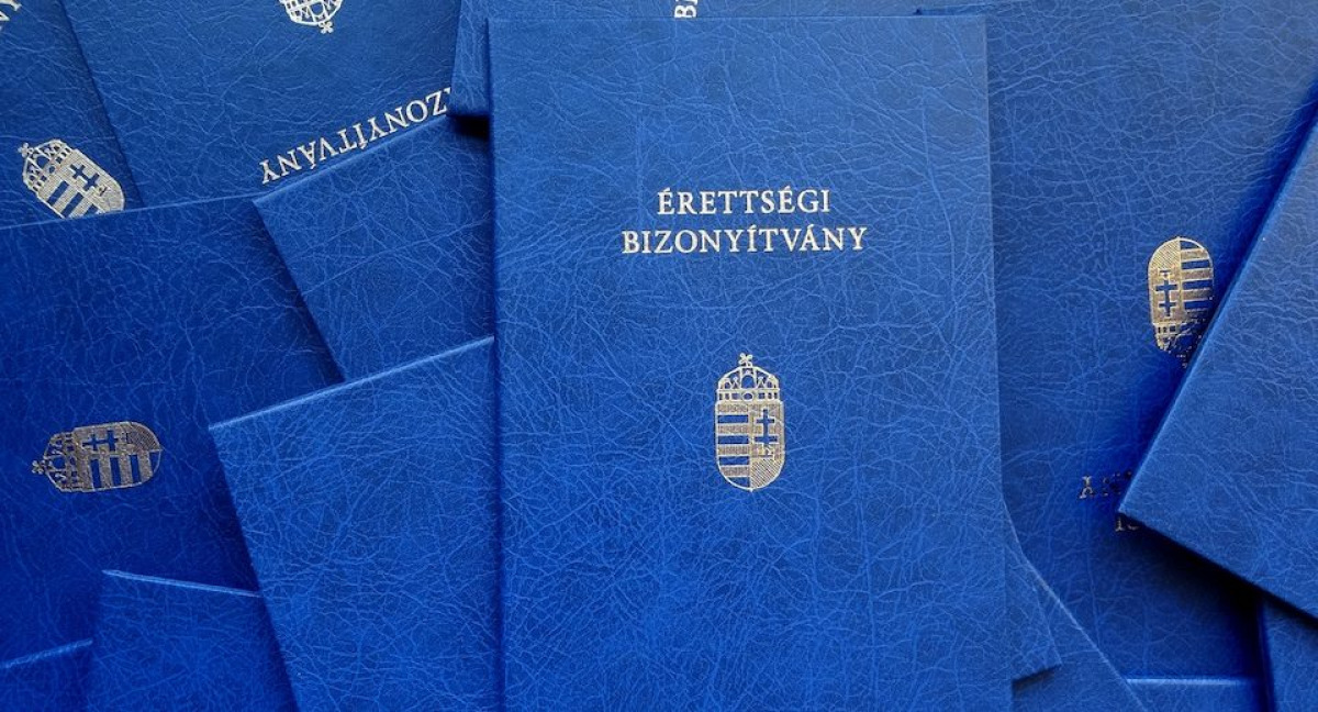 Szele Tamás: Hangyák, méhek, tanárok