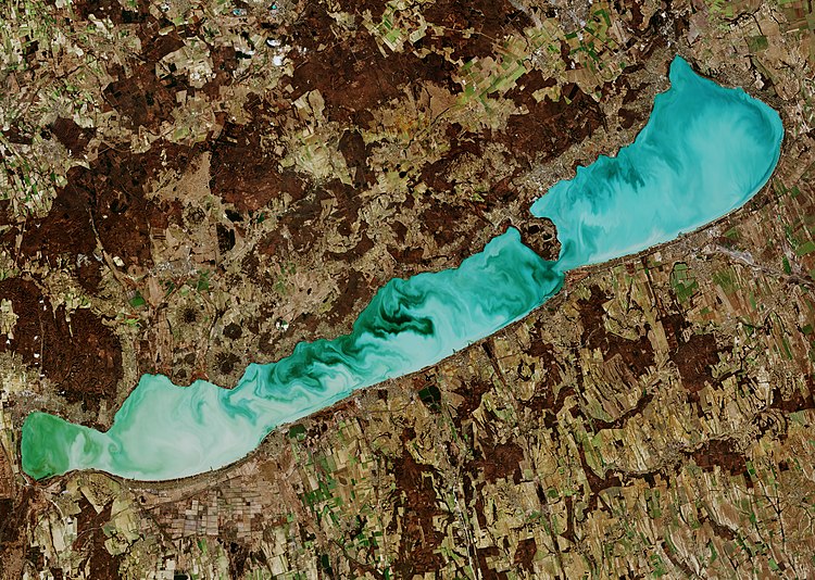 Gaál Péter: Ó, a régi, ó, a Balaton
