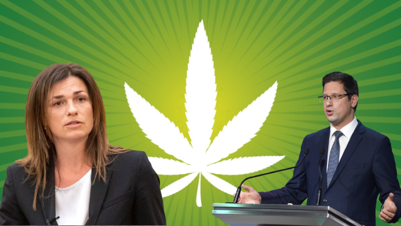 Szele Tamás: Marihuána és melegházasság