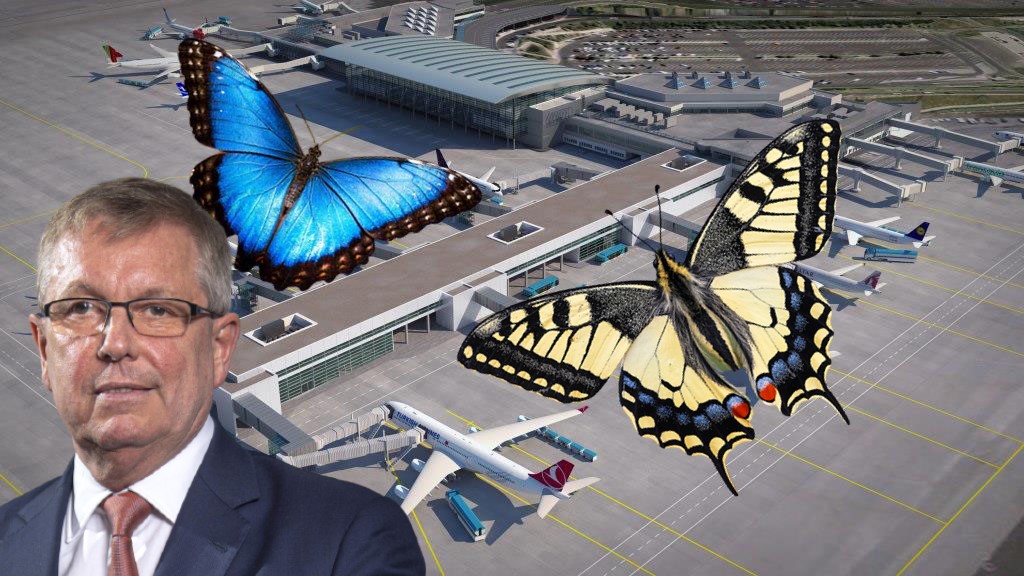 Szele Tamás: Matolcsy lepkeálmai