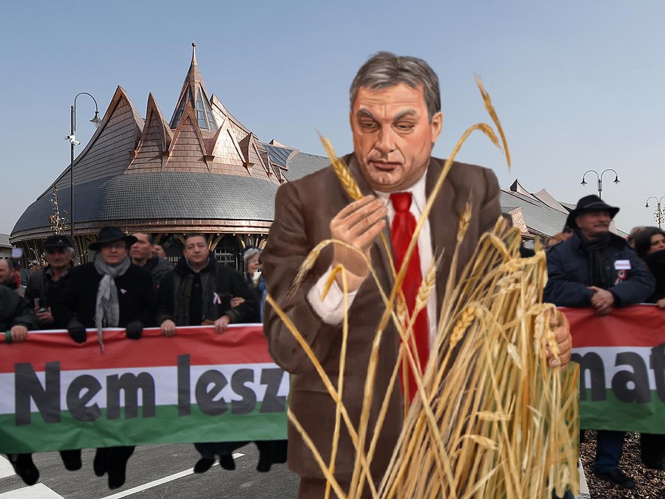 Szele Tamás: Tizenkét év
