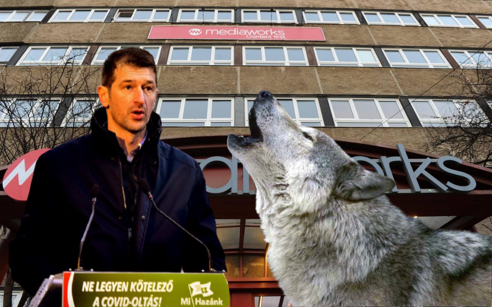 Szele Tamás: Hóhérakasztás