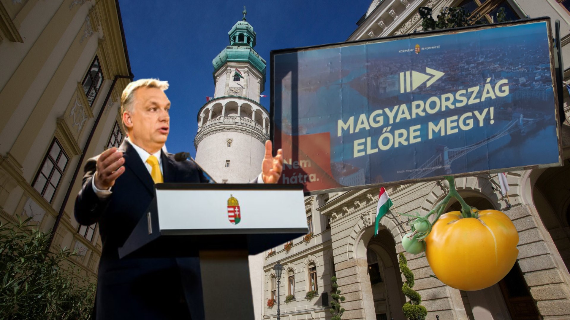 Szele Tamás: Fröccsöntött bóvlipolitika
