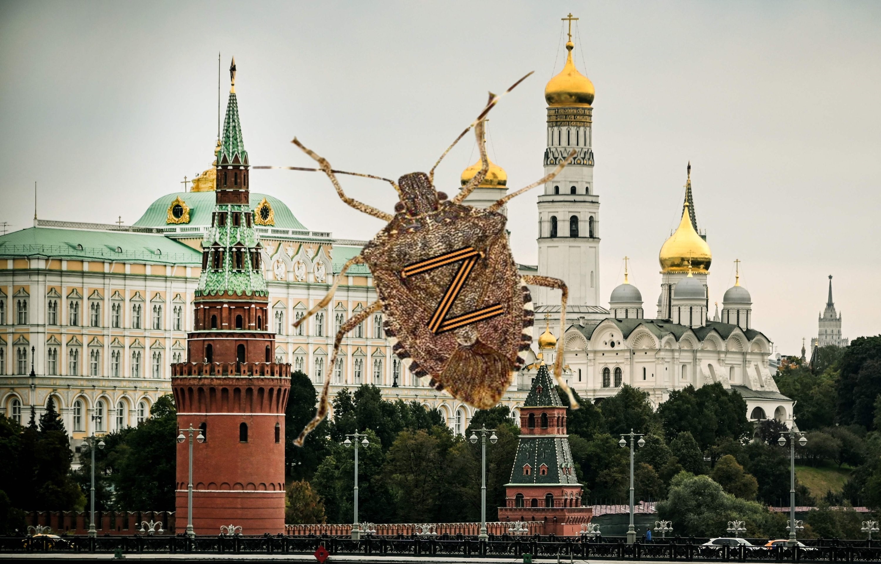 Gaál Péter: Motiváció thumbnail