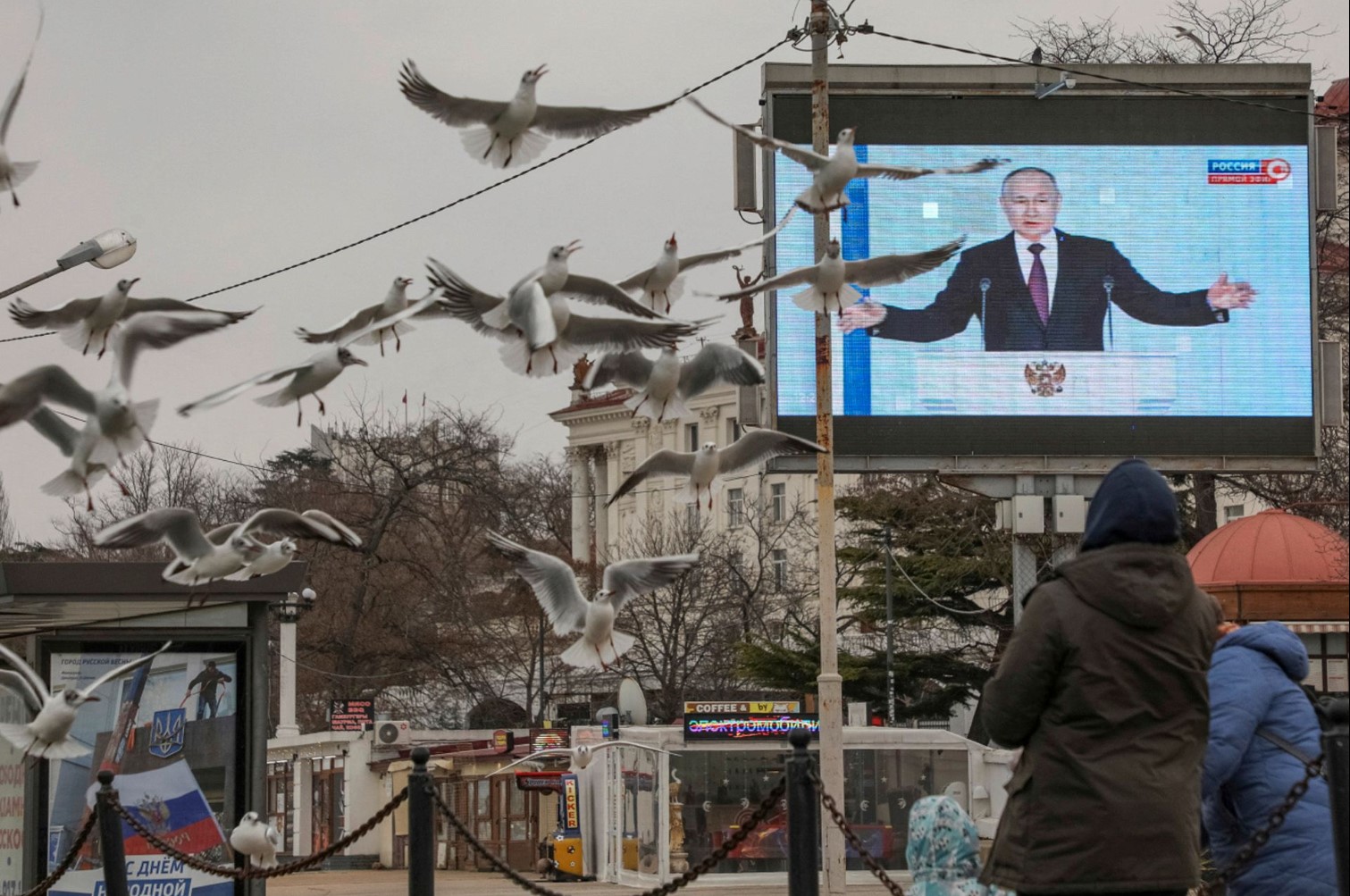 Szele Tamás: Egy felesleges háború